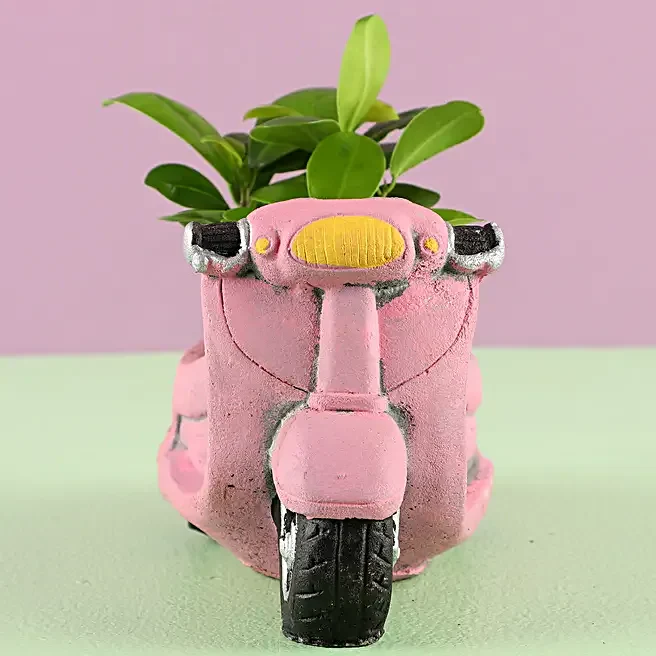 Handpainted Scooter Ceramic Succulent Pot - Image 11