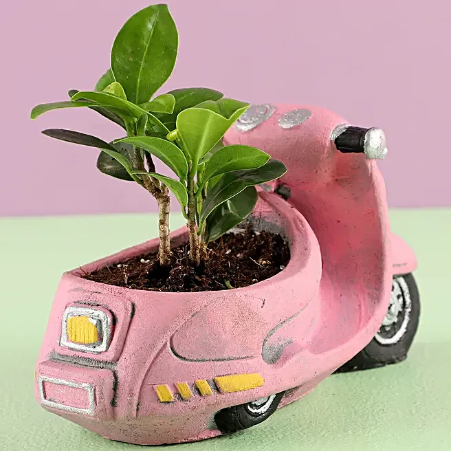 Handpainted Scooter Ceramic Succulent Pot - Image 12